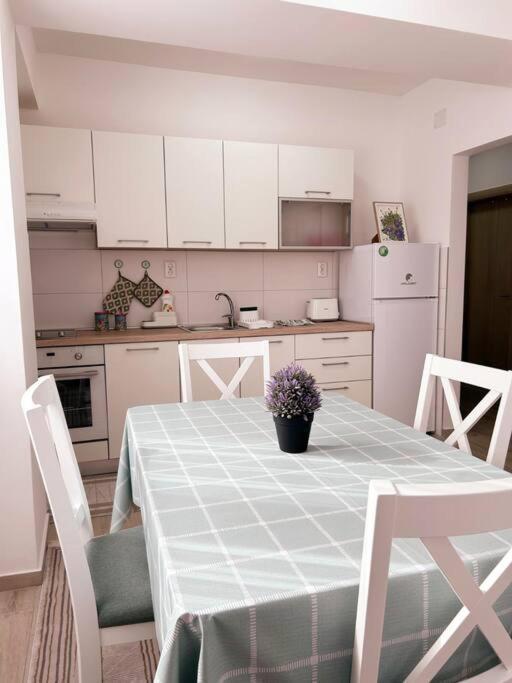 Appartement Mint